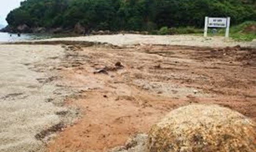 Bùn đất đỏ tại vị trí XD 40 nền móng biệt thự trên núi Sơn Trà đang đổ xuống biển Đà Nẵng. Ảnh: H.S