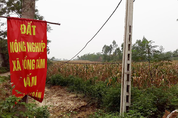 Người dân xã Đồng Tâm căng băng rôn khẩu hiệu trên đất đồng Sênh. Ảnh Cao Nguyên.