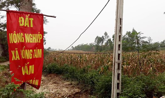 Người dân xã Đồng Tâm căng băng rôn khẩu hiệu trên đất đồng Sênh. Ảnh Cao Nguyên.
