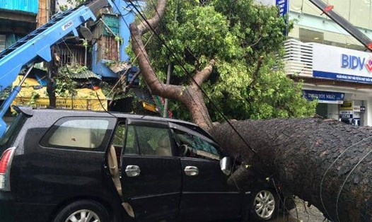 Mưa bão làm cây đổ, đè lên một chiếc xe ô-tô vào năm 2016. Ảnh Trần Vương