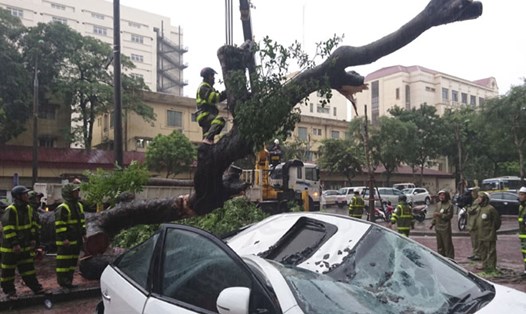 Ôtô bẹp dúm vì bị cây đổ khi cơn bão số 3 đổ bộ vào Hà Nội. Ảnh: HẢI NGUYỄN