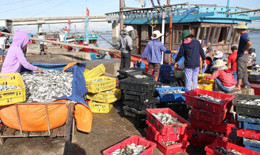 Chợ cá Cửa Việt ở tỉnh Quảng Trị. Ảnh: HƯNG THƠ