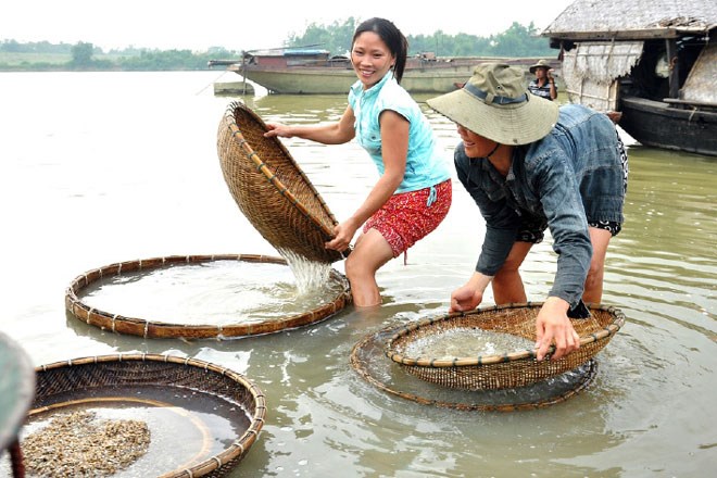 Hương vị món ăn dân dã xứ Nghệ