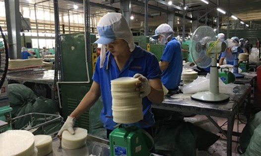 Trong tổng số hơn 1.600 công nhân của Cty Thuận Phong, đại đa số công nhân từ các tỉnh ở Đồng bằng sông Cửu Long về làm việc, đều phải thuê nhà trọ để ở. Ảnh: CAO HÙNG