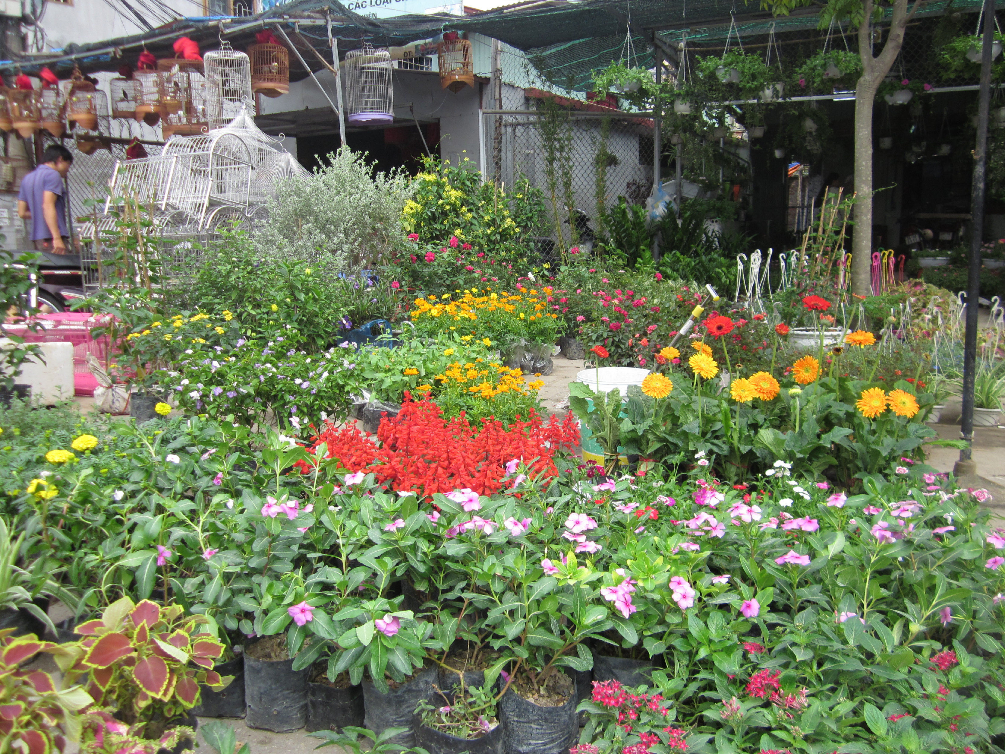 Đặc sắc chợ Hàng Hải Phòng