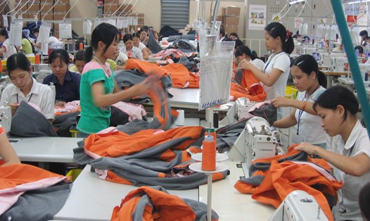 Nữ công nhân lao động ngành dệt may. Ảnh: Q.C
