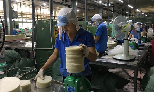 Trong tổng số hơn 1.600 công nhân của Cty Thuận Phong, đại đa số công nhân từ các tỉnh ở Đồng bằng sông Cửu Long về làm việc, đều phải thuê nhà trọ để ở. Ảnh: CAO HÙNG