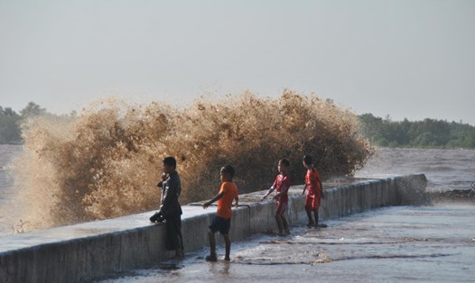 Không còn rừng phòng hộ, sóng biển đánh vào kè Gành Hào khiến cho đê kè này có thể vỡ bất cứ lúc nào. Ảnh: N.H