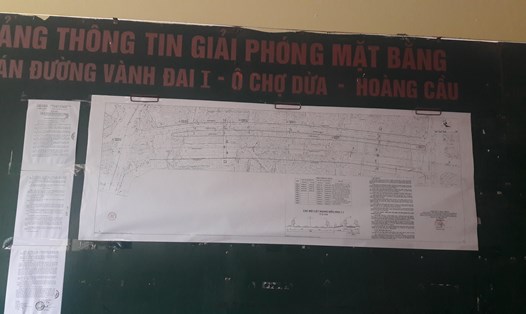   Bản phê duyệt chỉ giới tuyến đường Hoàng Cầu- Voi Phục được treo tại UBND phường Ô Chợ Dừa. Ảnh: T.C