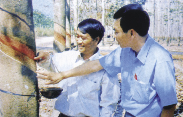 Nguyễn Hữu Lợi ( trái) hướng dẫn kỹ thuật khai thác mủ cao su.