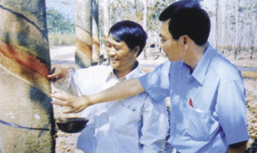 Nguyễn Hữu Lợi ( trái) hướng dẫn kỹ thuật khai thác mủ cao su.