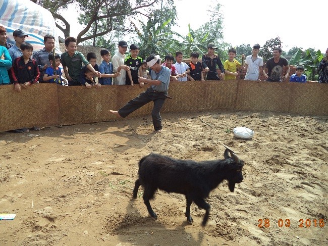 Trò chơi Bịt mắt bắt dê trong lễ hội.