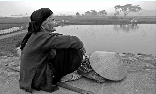 Mẹ già còm cõi ngóng con.